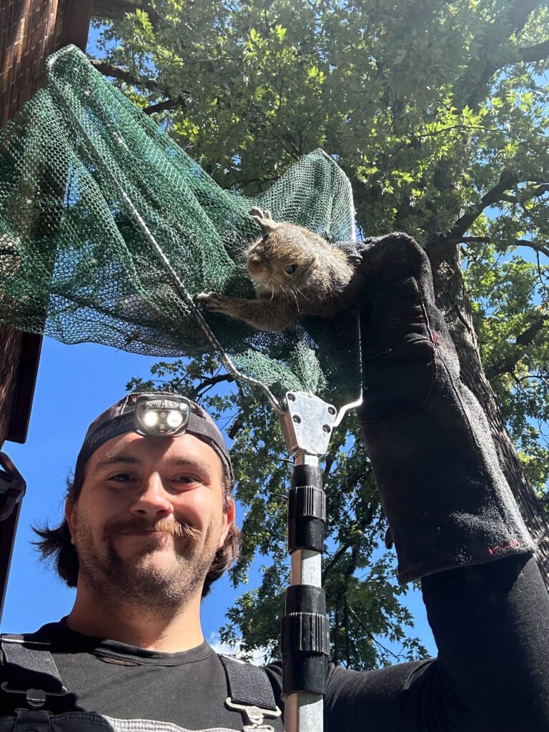 Wildlife Control Casnovia